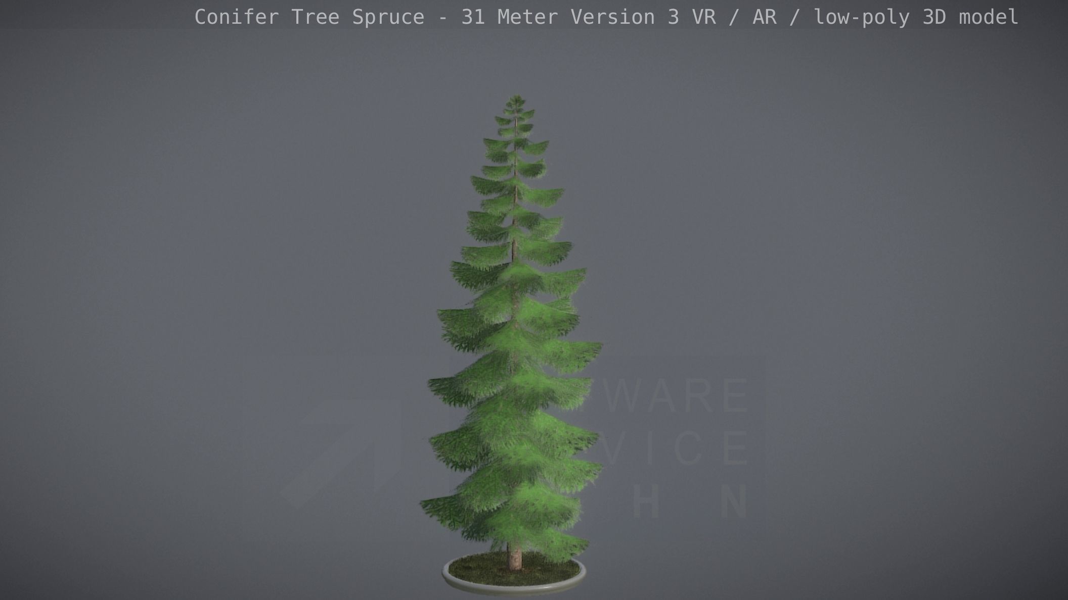 Conifer Tree Spruce - 31 Meter Version 3 Low-poly 3D model_11