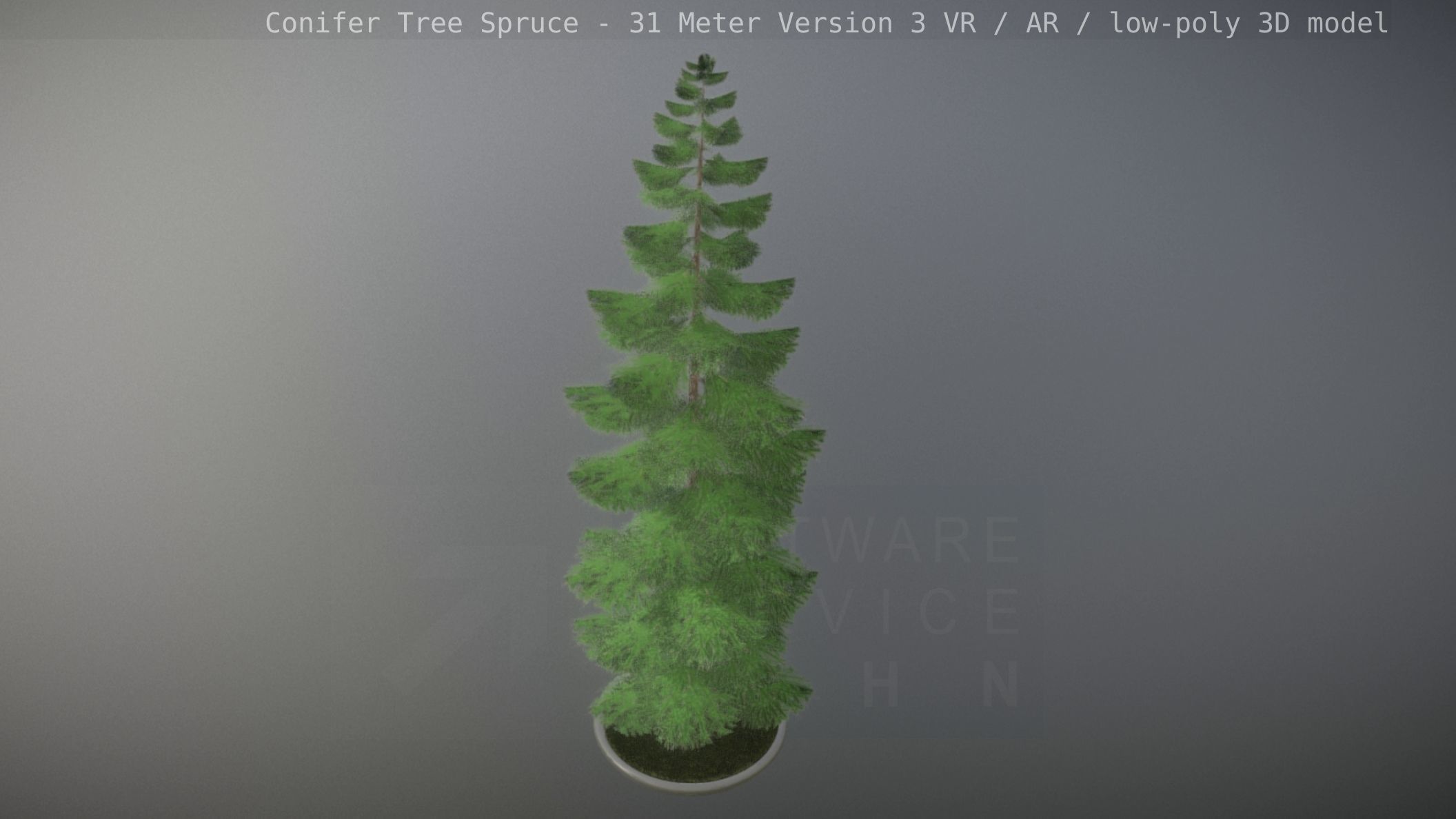 Conifer Tree Spruce - 31 Meter Version 3 Low-poly 3D model_22