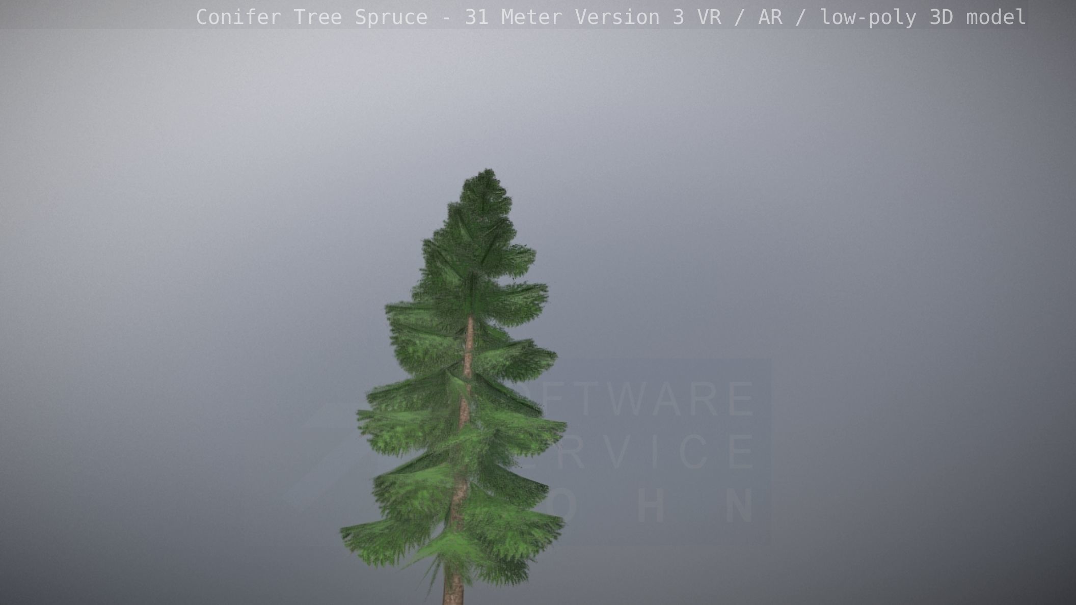 Conifer Tree Spruce - 31 Meter Version 3 Low-poly 3D model_100