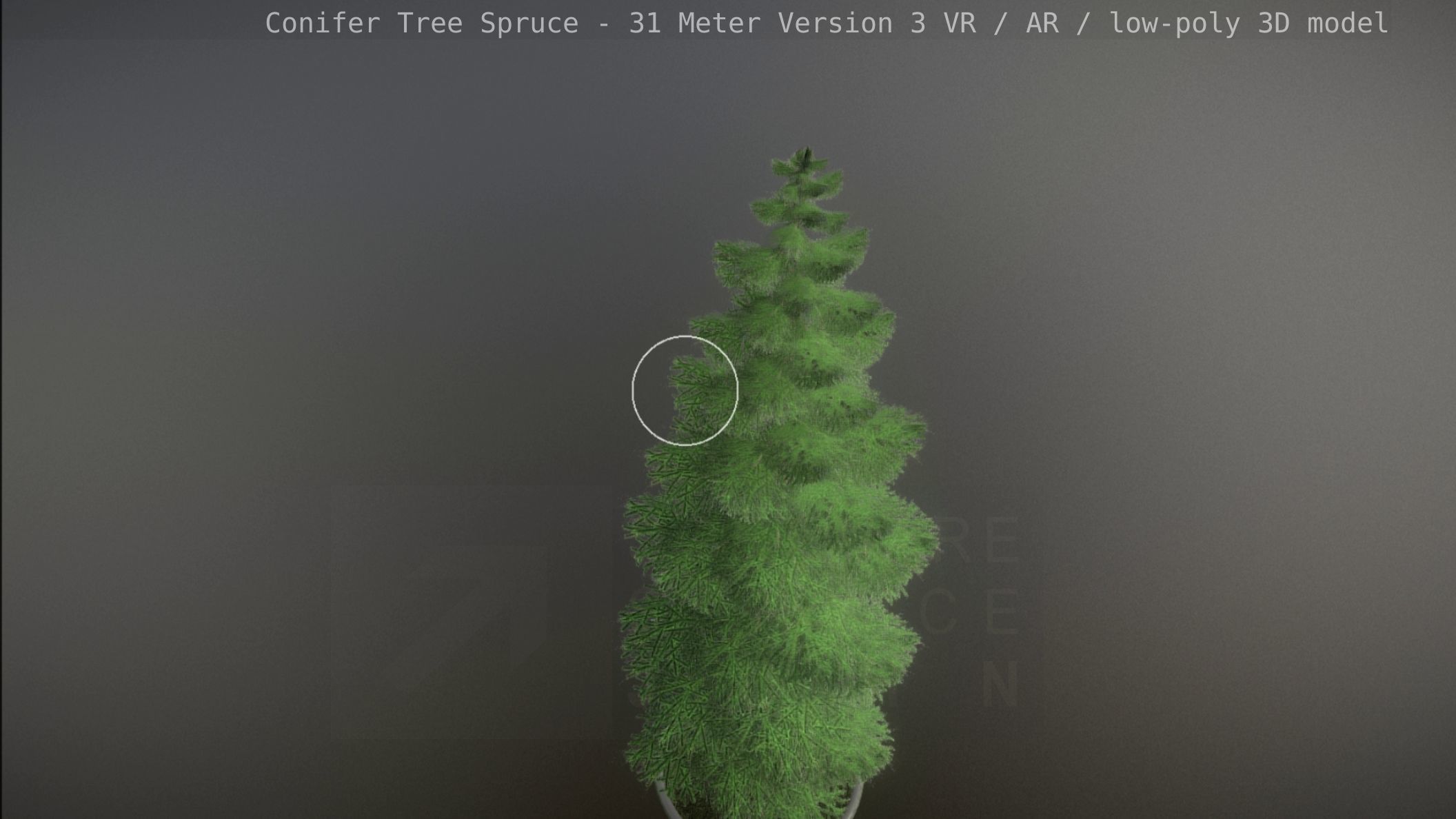 Conifer Tree Spruce - 31 Meter Version 3 Low-poly 3D model_73