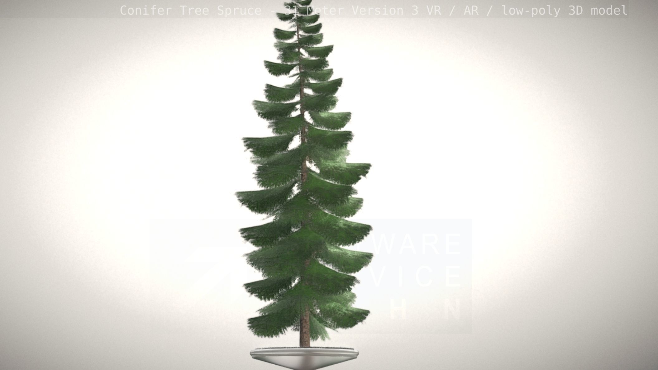 Conifer Tree Spruce - 31 Meter Version 3 Low-poly 3D model_89