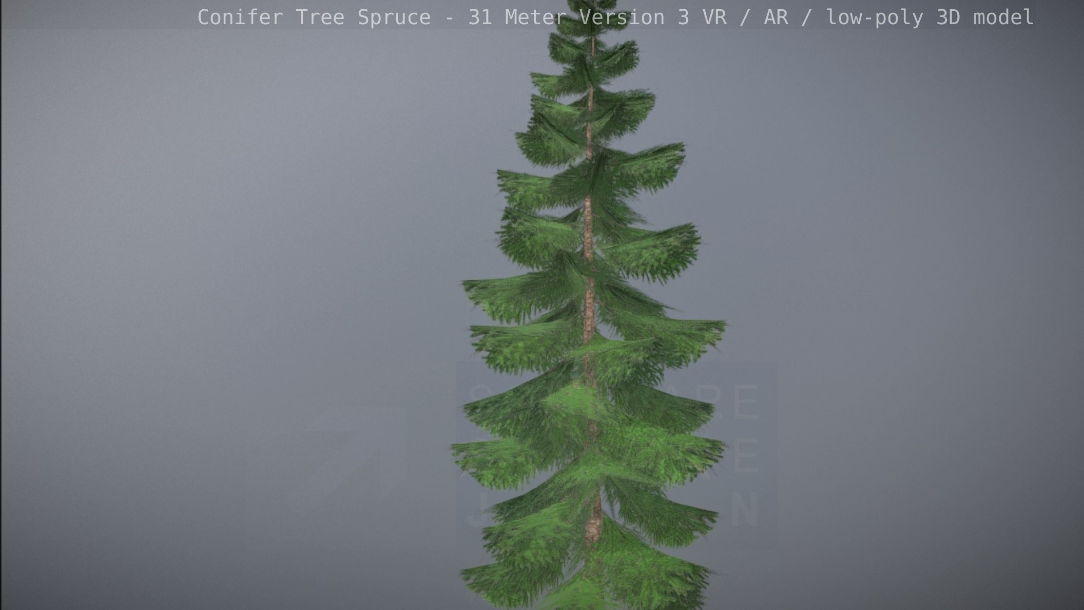 Conifer Tree Spruce - 31 Meter Version 3 Low-poly 3D model_80