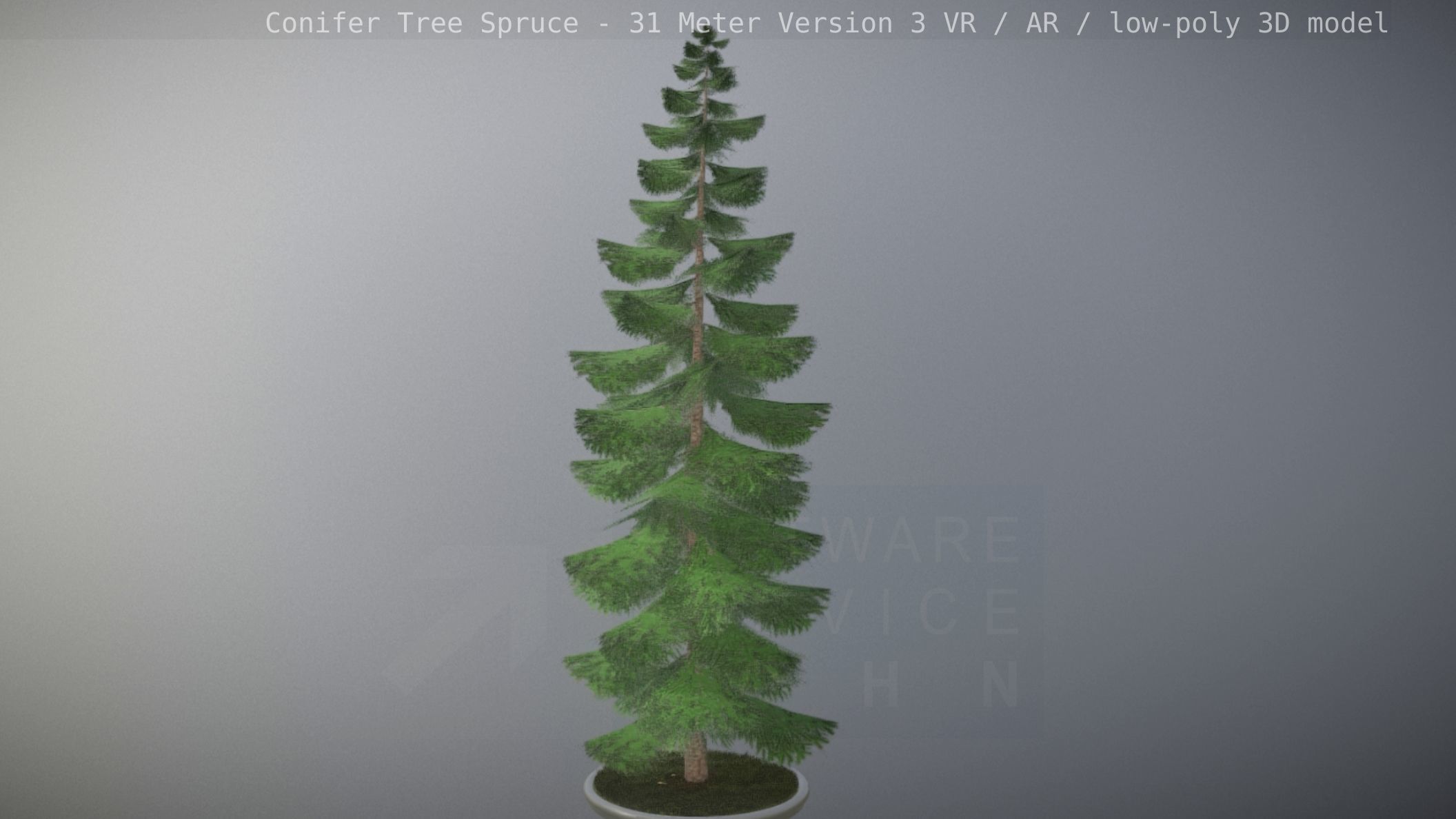 Conifer Tree Spruce - 31 Meter Version 3 Low-poly 3D model_21