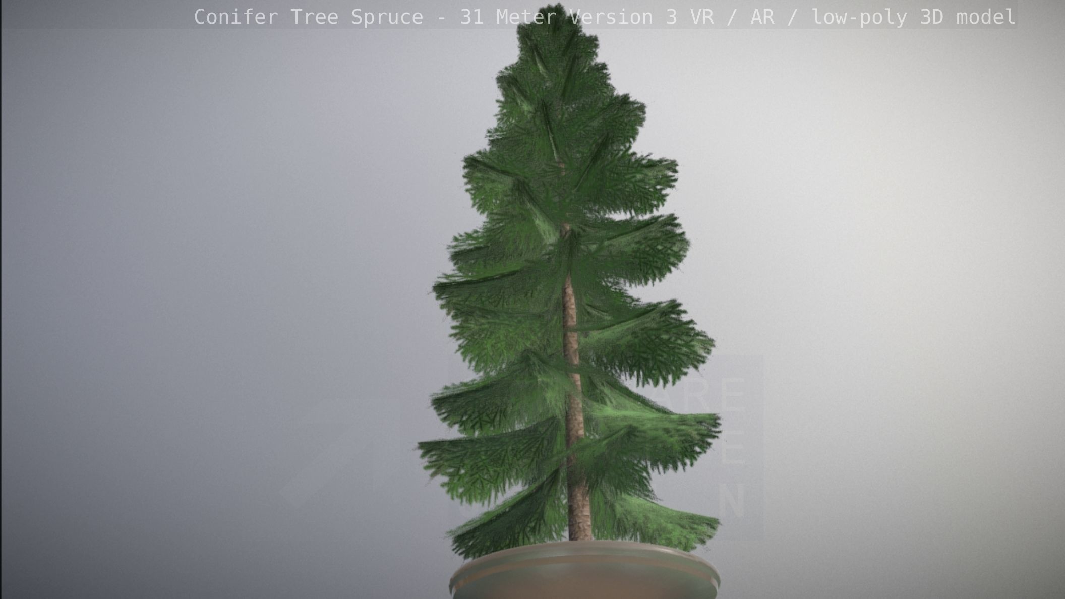 Conifer Tree Spruce - 31 Meter Version 3 Low-poly 3D model_78