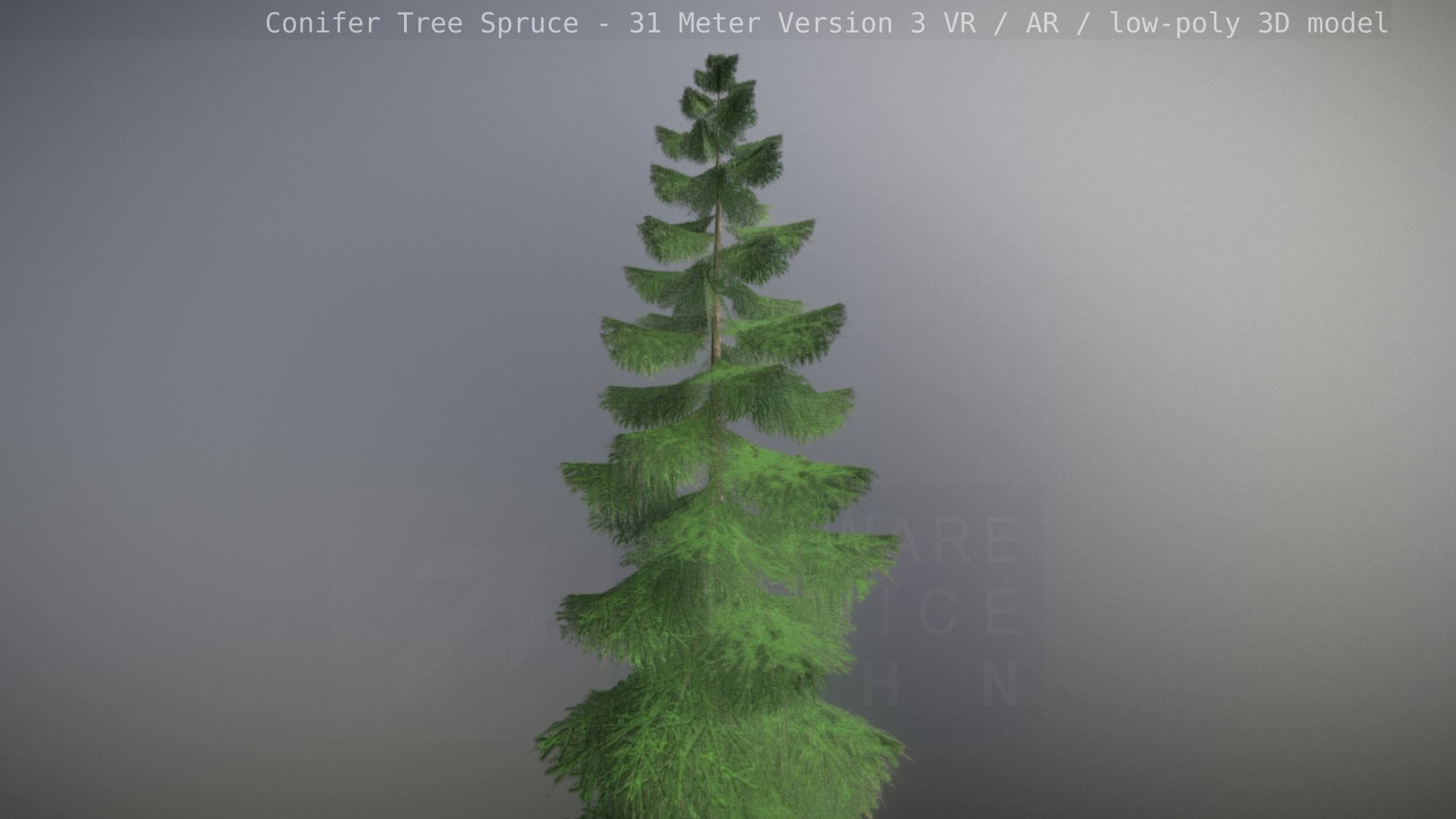 Conifer Tree Spruce - 31 Meter Version 3 Low-poly 3D model_95