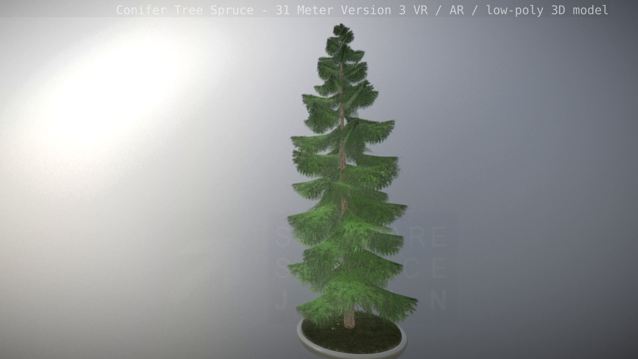 Conifer Tree Spruce - 31 Meter Version 3 Low-poly 3D model_109