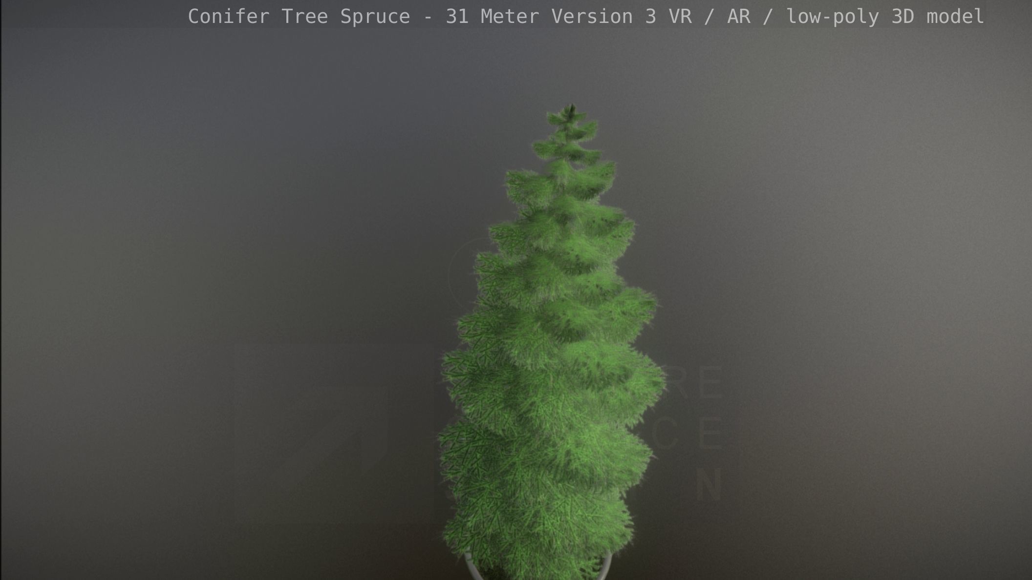 Conifer Tree Spruce - 31 Meter Version 3 Low-poly 3D model_71