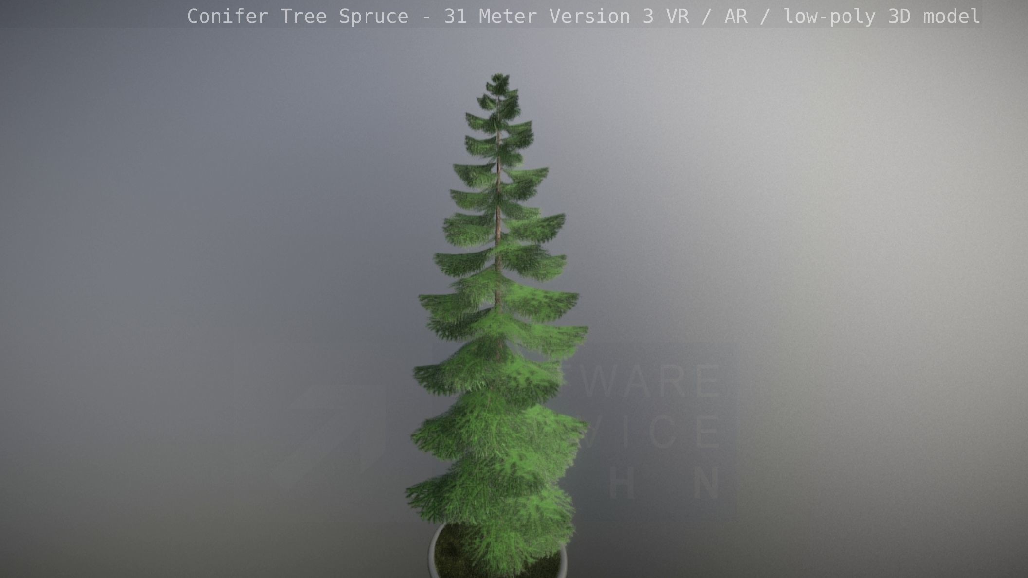 Conifer Tree Spruce - 31 Meter Version 3 Low-poly 3D model_93