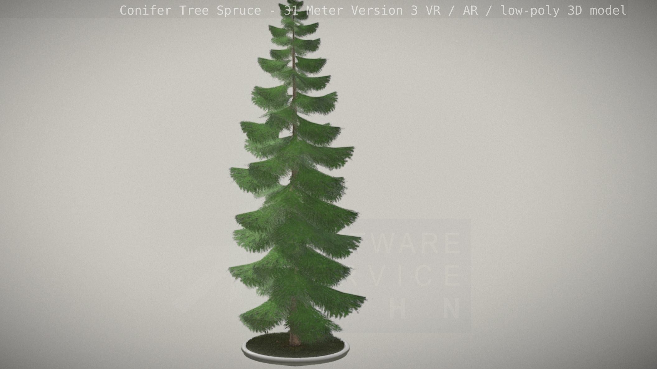 Conifer Tree Spruce - 31 Meter Version 3 Low-poly 3D model_87