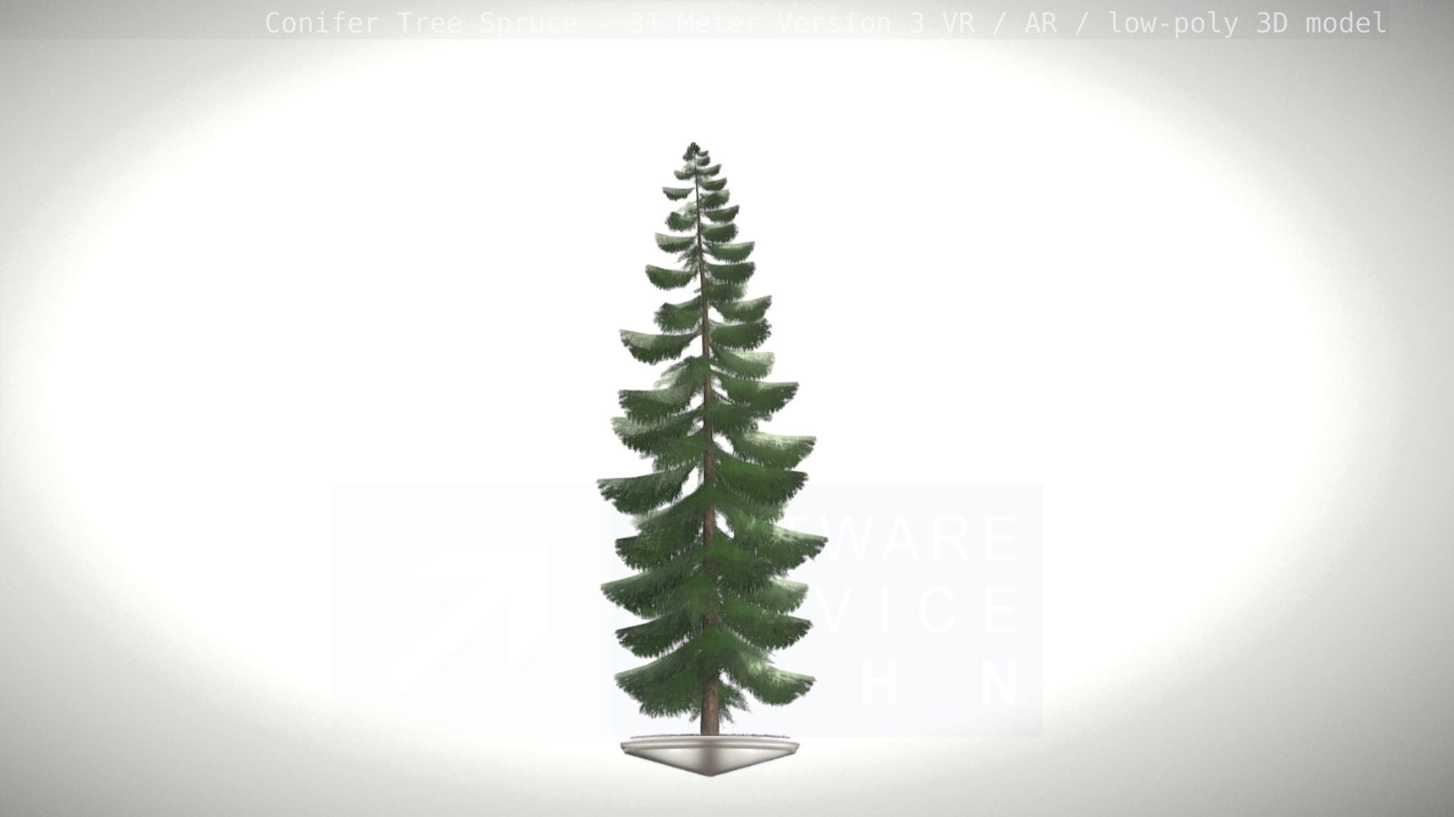 Conifer Tree Spruce - 31 Meter Version 3 Low-poly 3D model_90