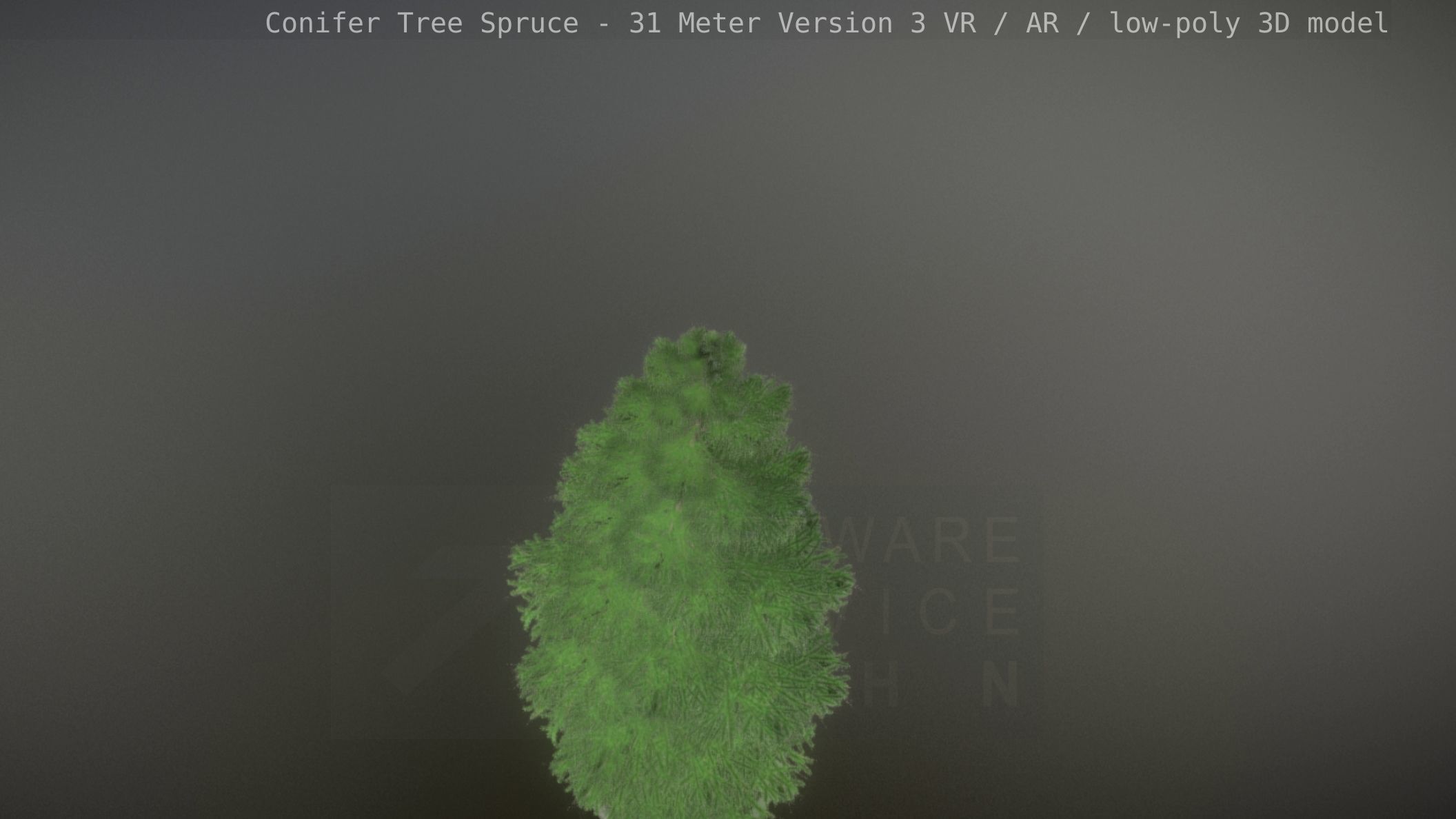 Conifer Tree Spruce - 31 Meter Version 3 Low-poly 3D model_33