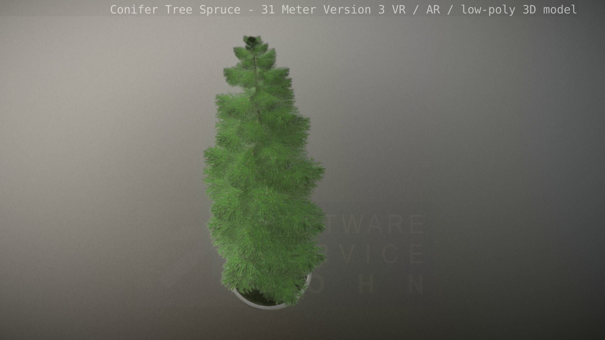 Conifer Tree Spruce - 31 Meter Version 3 Low-poly 3D model_24