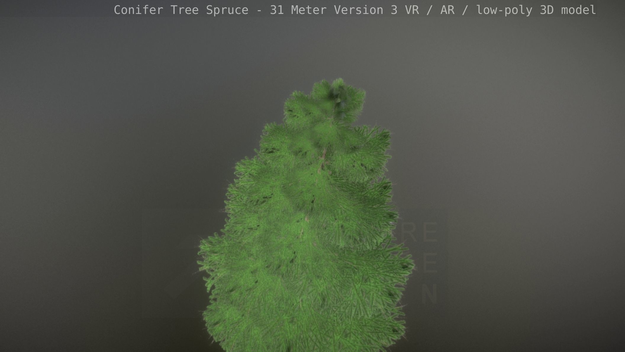 Conifer Tree Spruce - 31 Meter Version 3 Low-poly 3D model_35