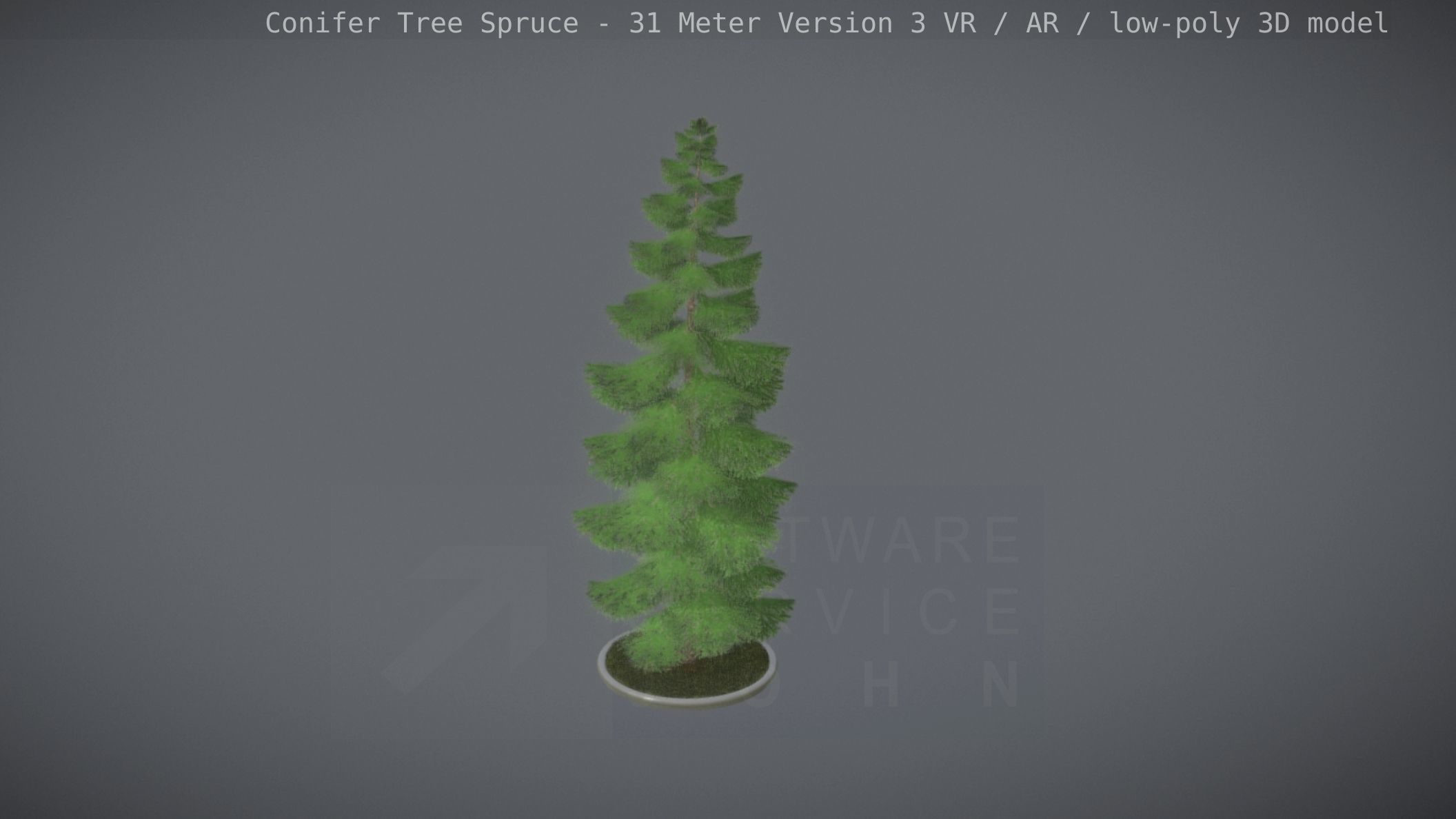 Conifer Tree Spruce - 31 Meter Version 3 Low-poly 3D model_81