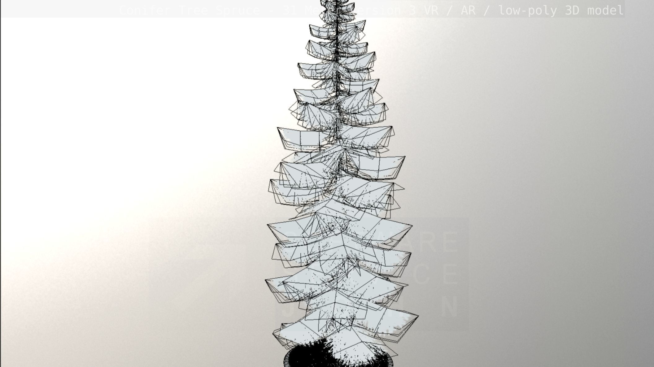 Conifer Tree Spruce - 31 Meter Version 3 Low-poly 3D model_49