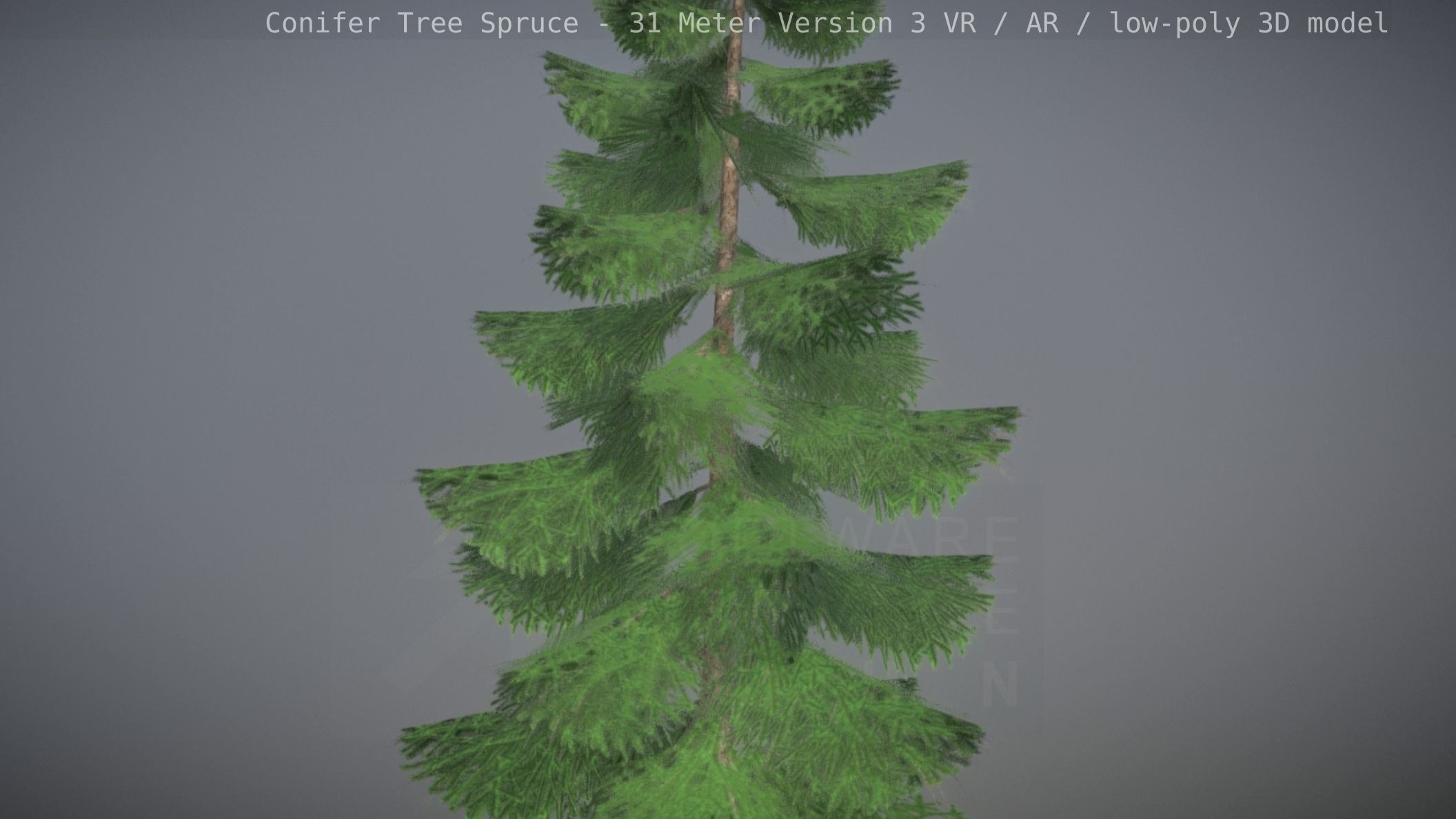 Conifer Tree Spruce - 31 Meter Version 3 Low-poly 3D model_31
