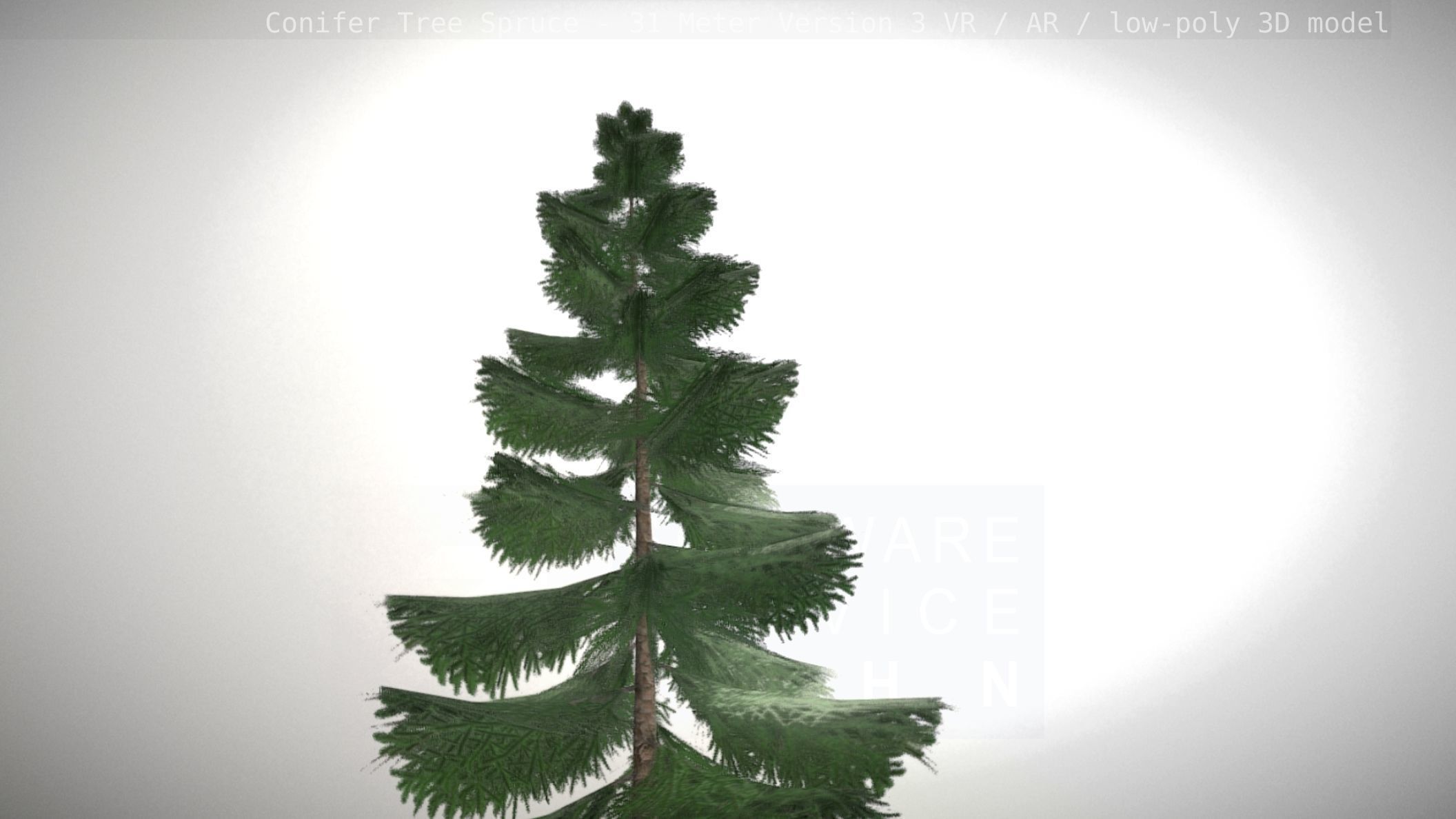 Conifer Tree Spruce - 31 Meter Version 3 Low-poly 3D model_1
