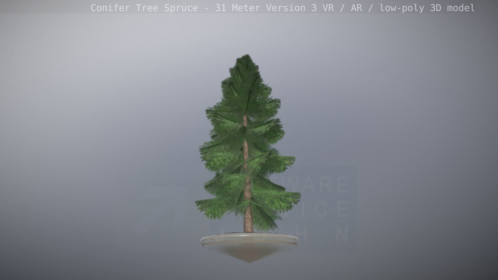 Conifer Tree Spruce - 31 Meter Version 3 Low-poly 3D model_102
