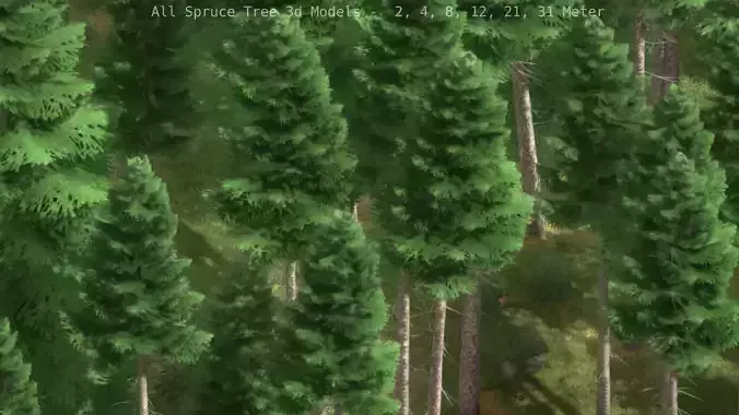 Spruce Tree Package  Low-poly 3D model
