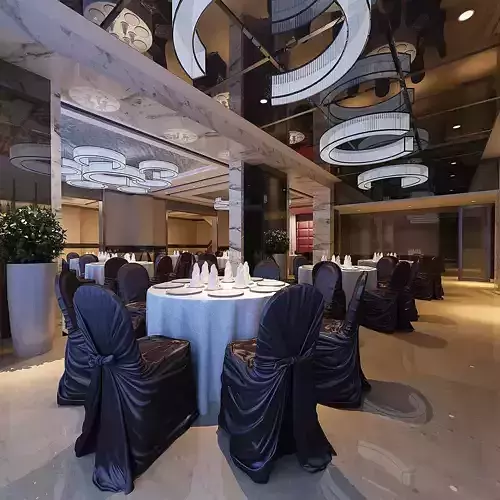 Business Restaurant - Coffee - Banquet  194