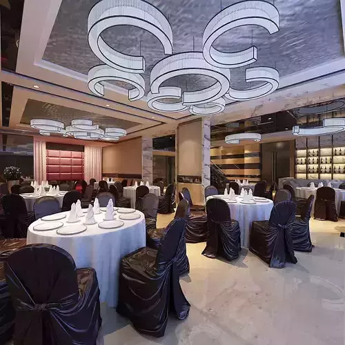 Business Restaurant - Coffee - Banquet  195