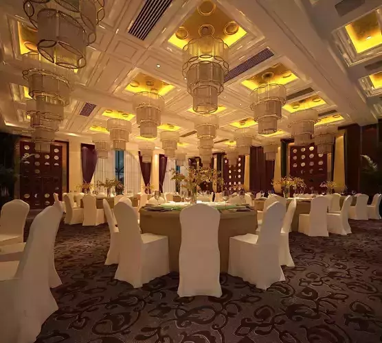 Business Restaurant - Coffee - Banquet  226