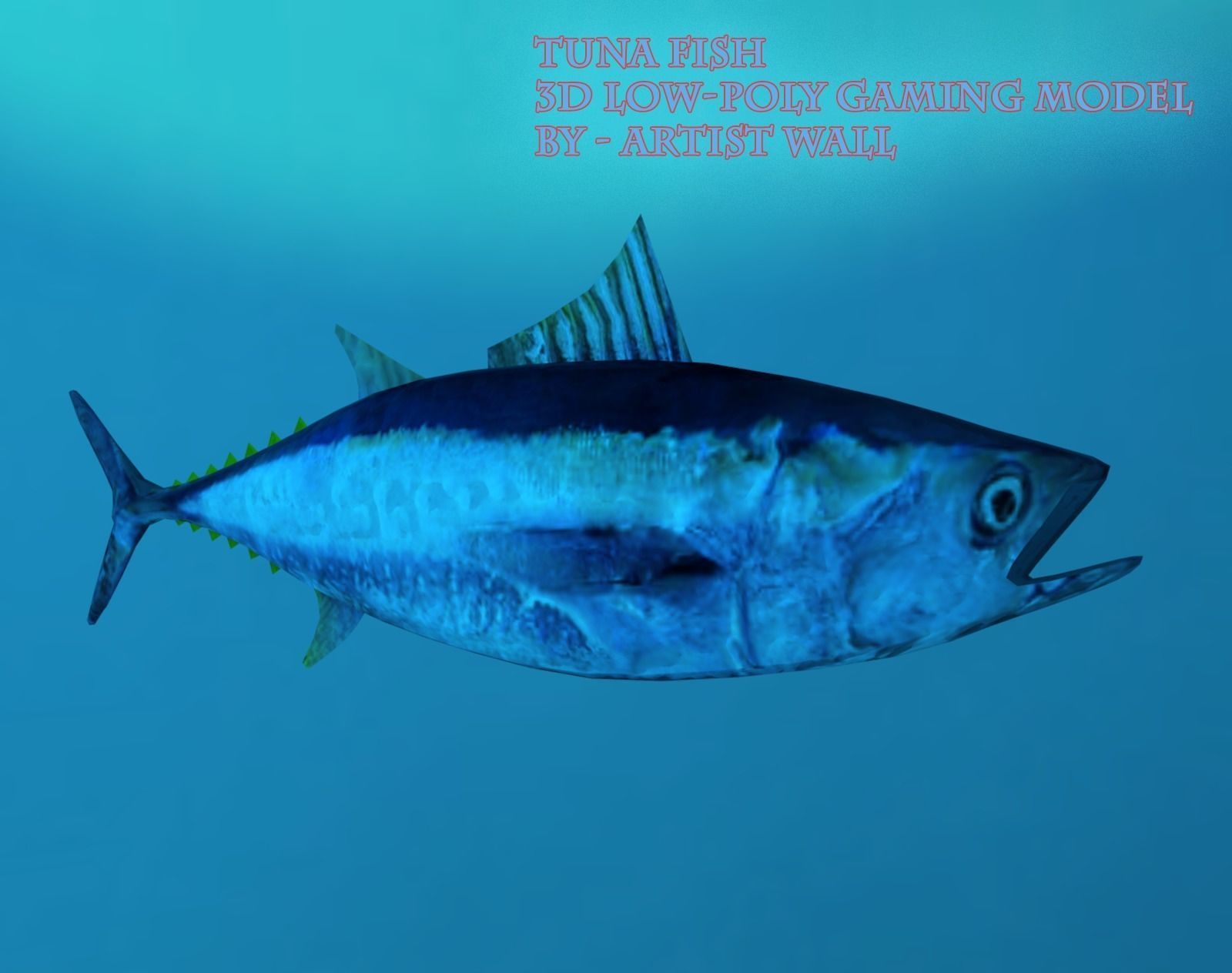 Tuna Fish Lowpoly 3D Gaming model  Low-poly 3D model_9