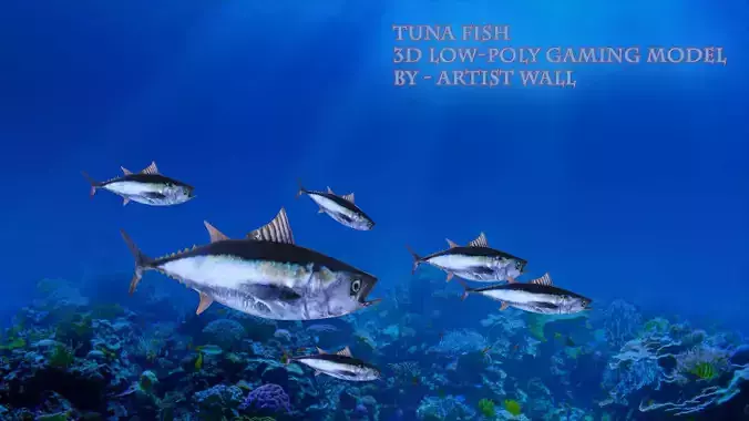 Tuna Fish Lowpoly 3D Gaming model  Low-poly 3D model