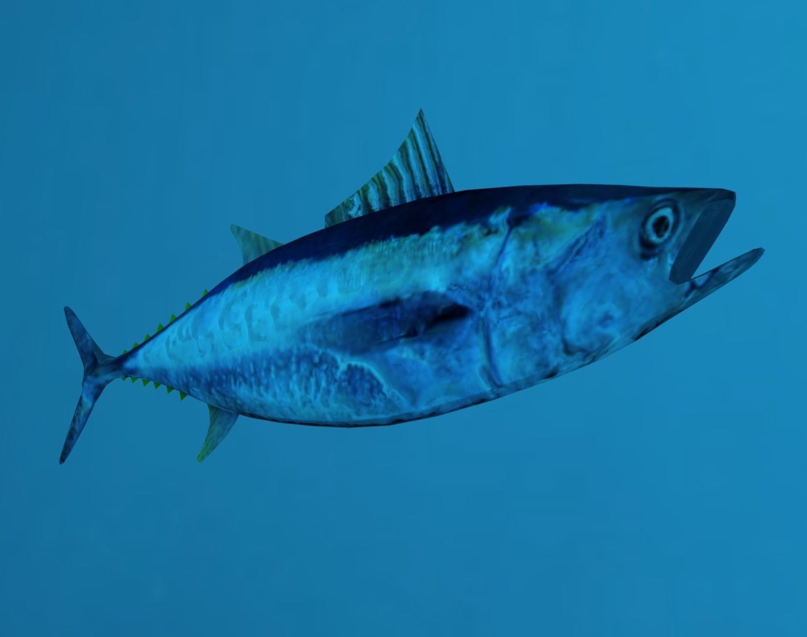 Tuna Fish Lowpoly 3D Gaming model  Low-poly 3D model_8