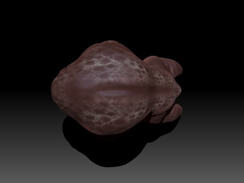 Hipomut animal Free low-poly 3D model_6