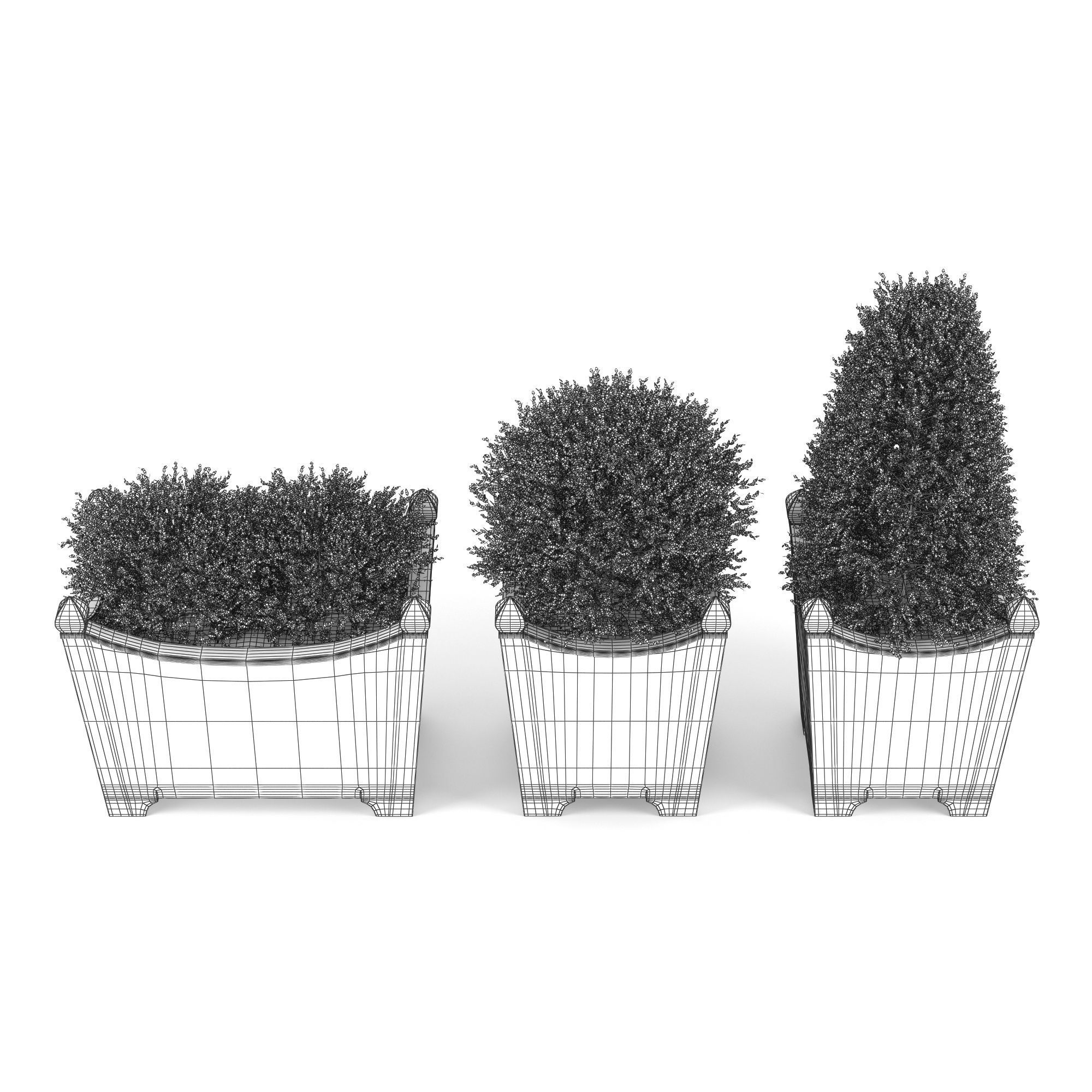 BOXWOOD TOPIARY 3D model_6