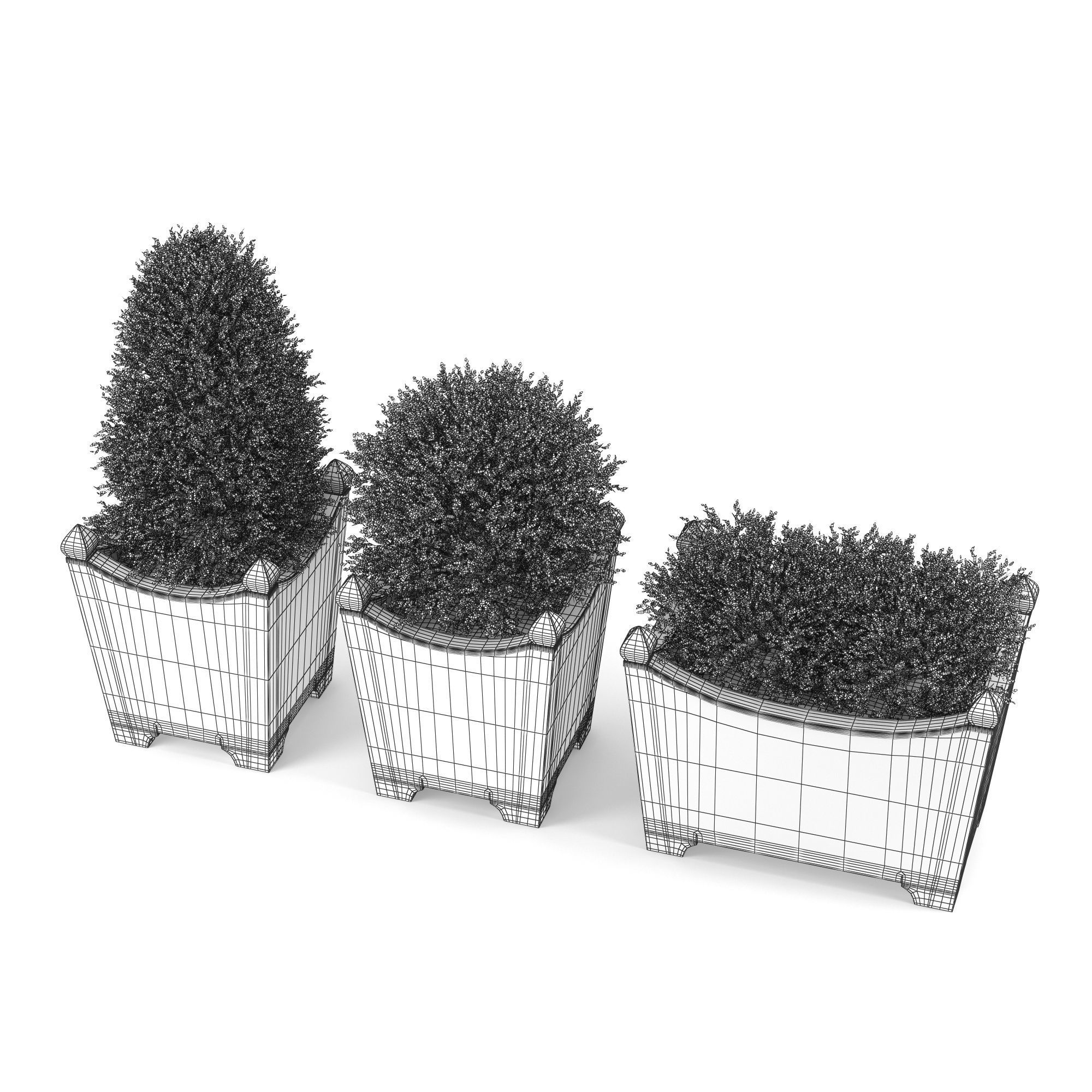 BOXWOOD TOPIARY 3D model_7