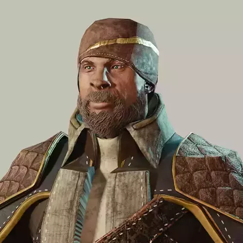 Leather and Gold Armorset