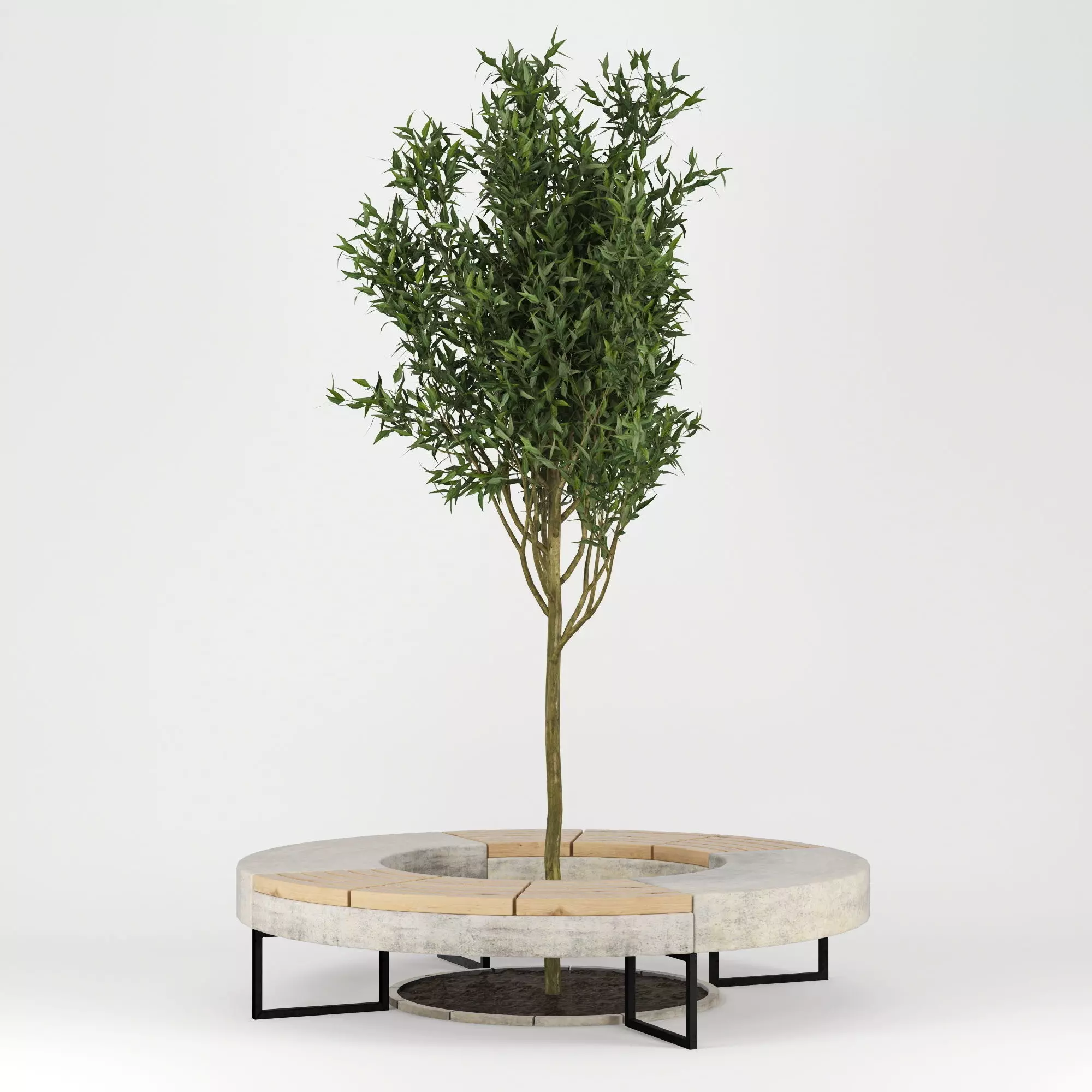 Tree Flowerbed 3D model_0