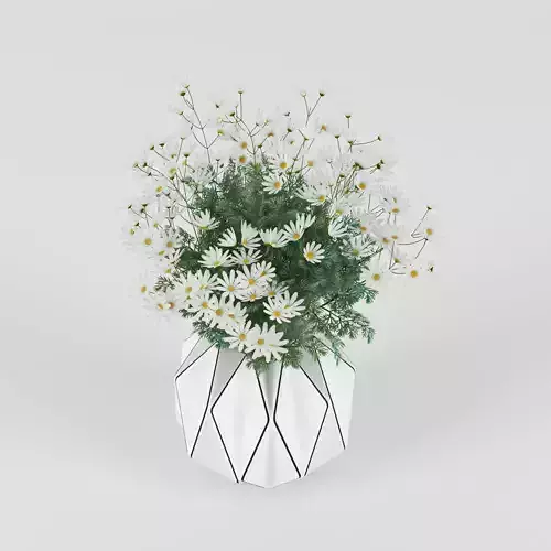 Daisy daisies in vase 3D model