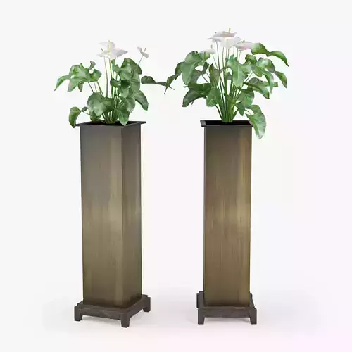 Anthurium pair of tall brass planters 3D model