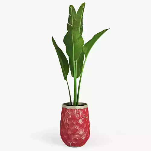 Banana Palm Hive Vases