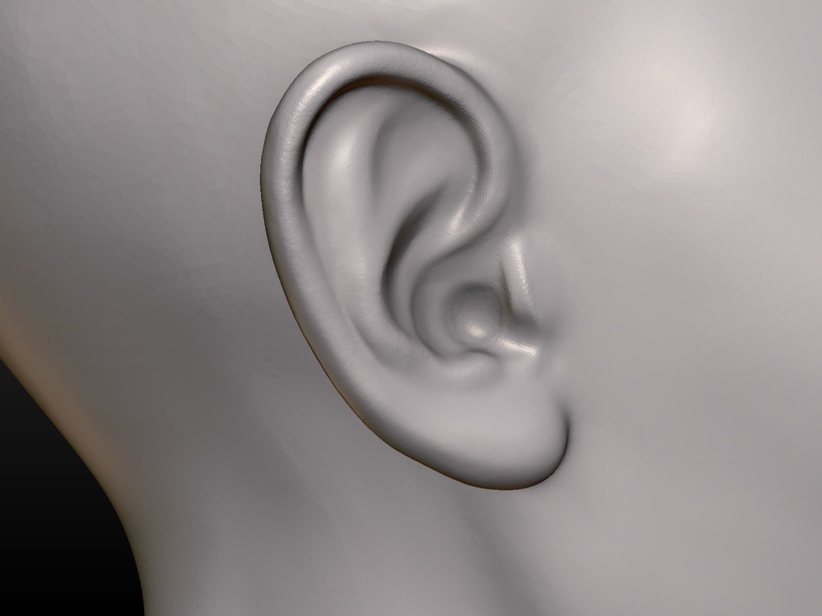 Young woman head 3D print model_16