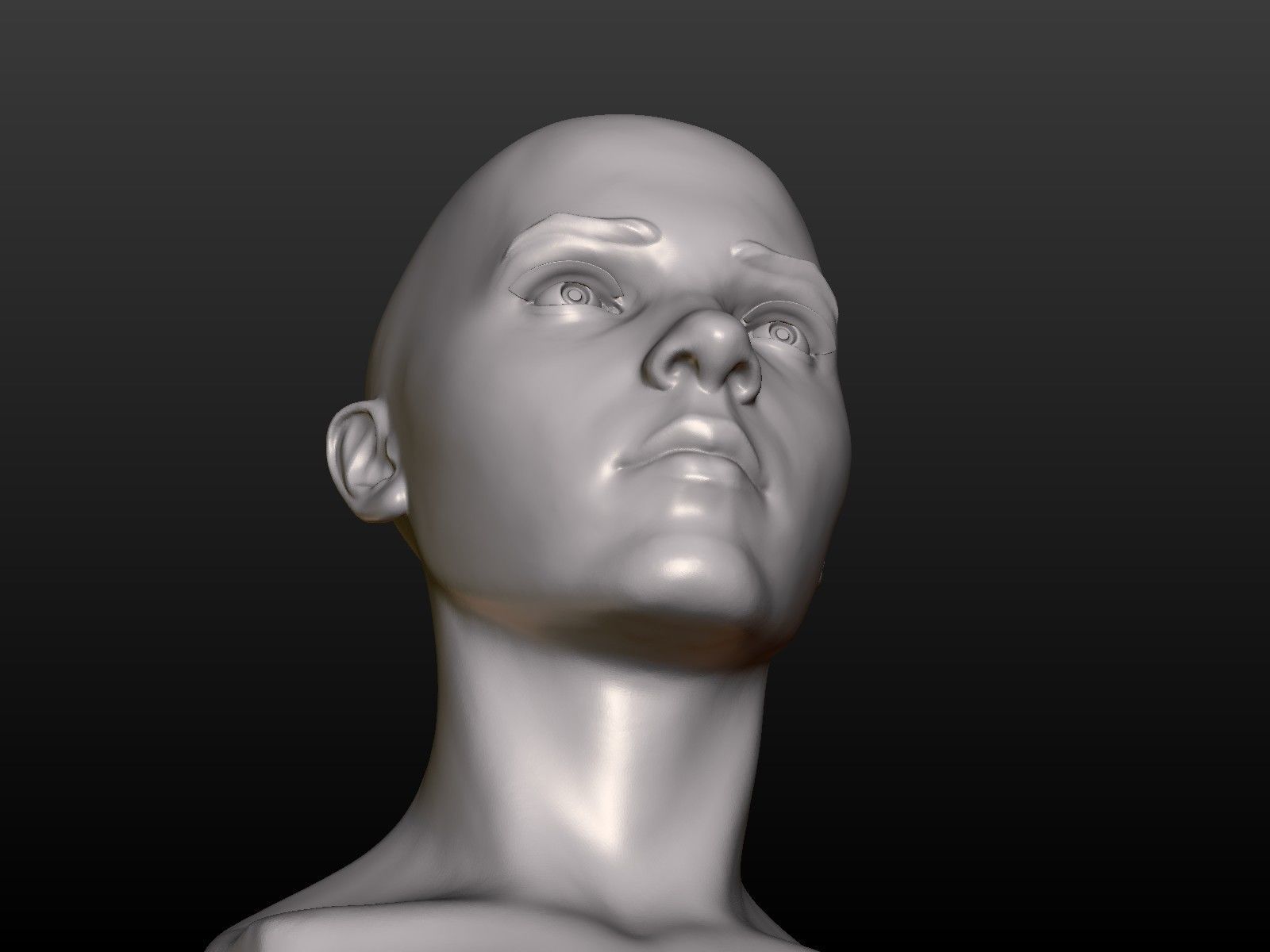 Young woman head 3D print model_8