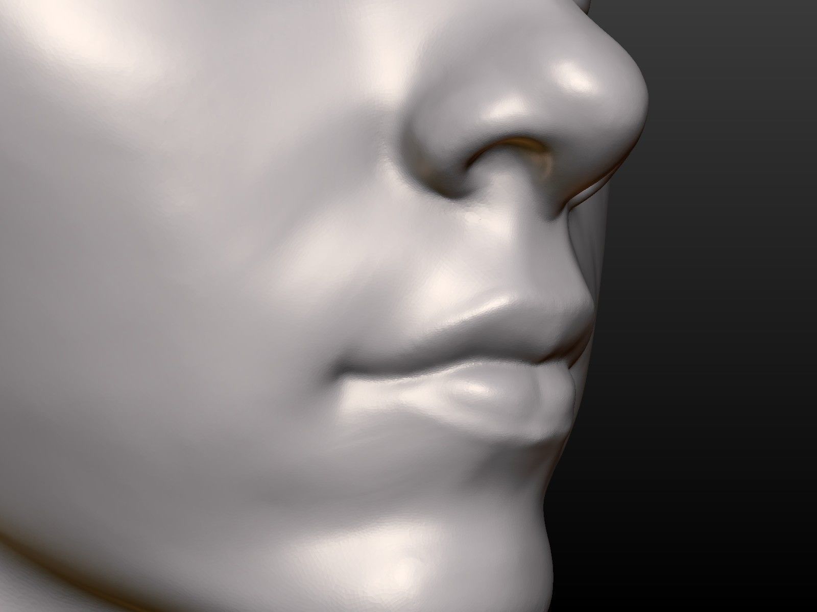 Young woman head 3D print model_18