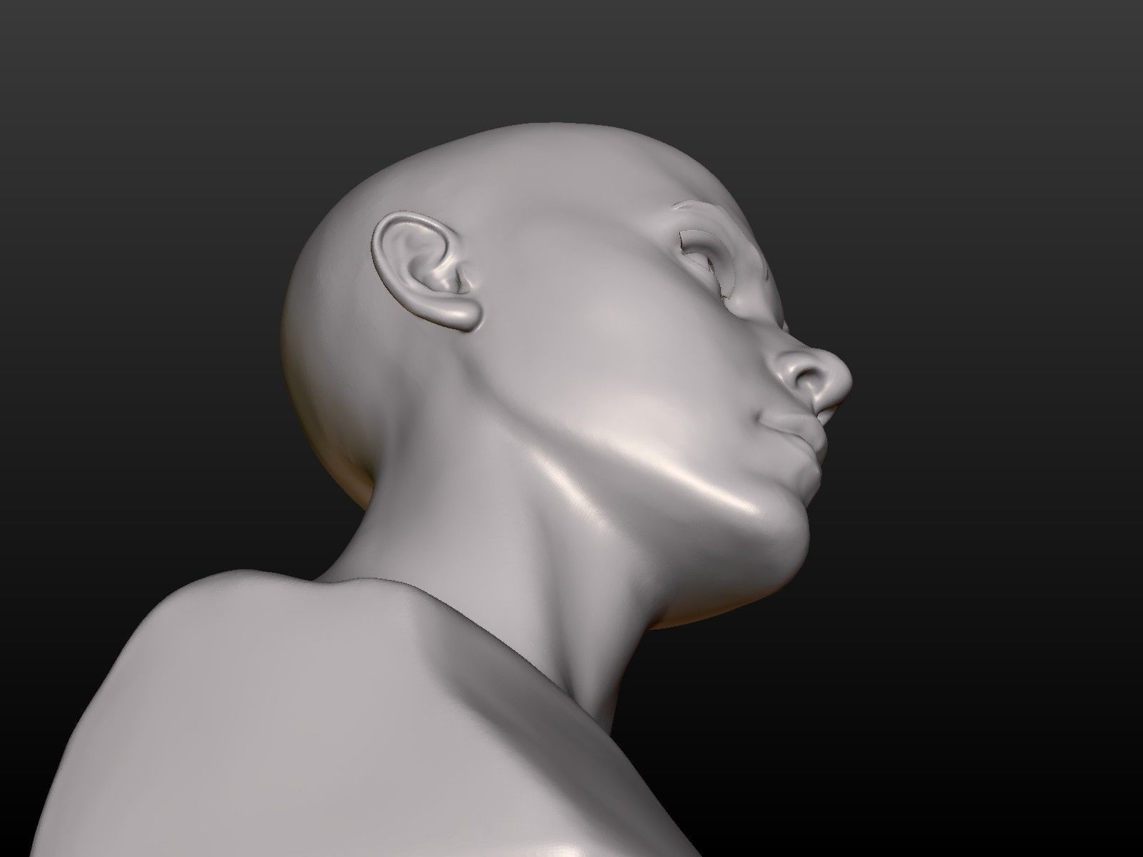 Young woman head 3D print model_10