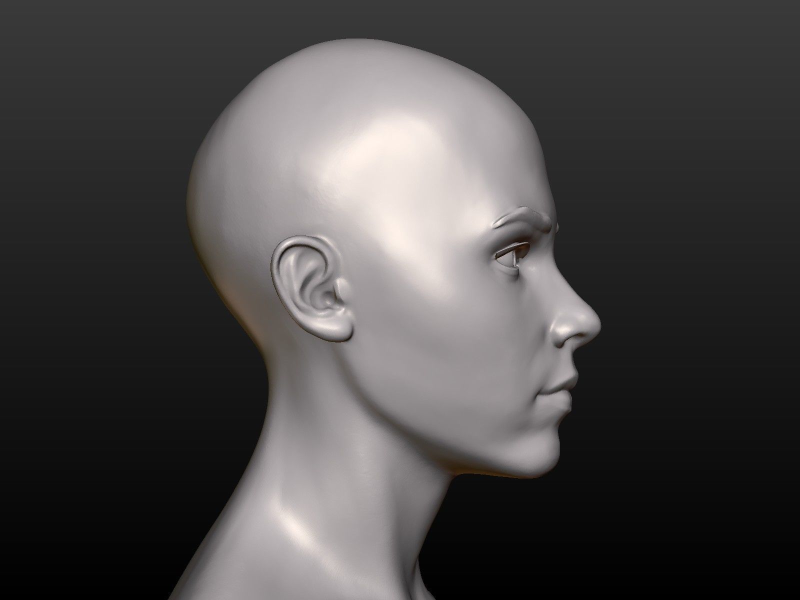 Young woman head 3D print model_7