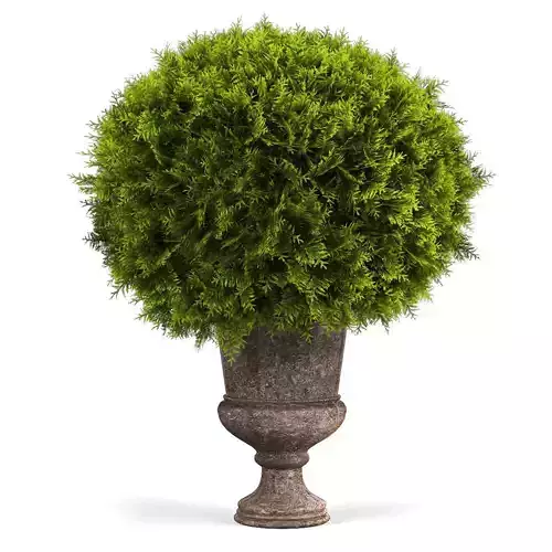 Classic tree in vase