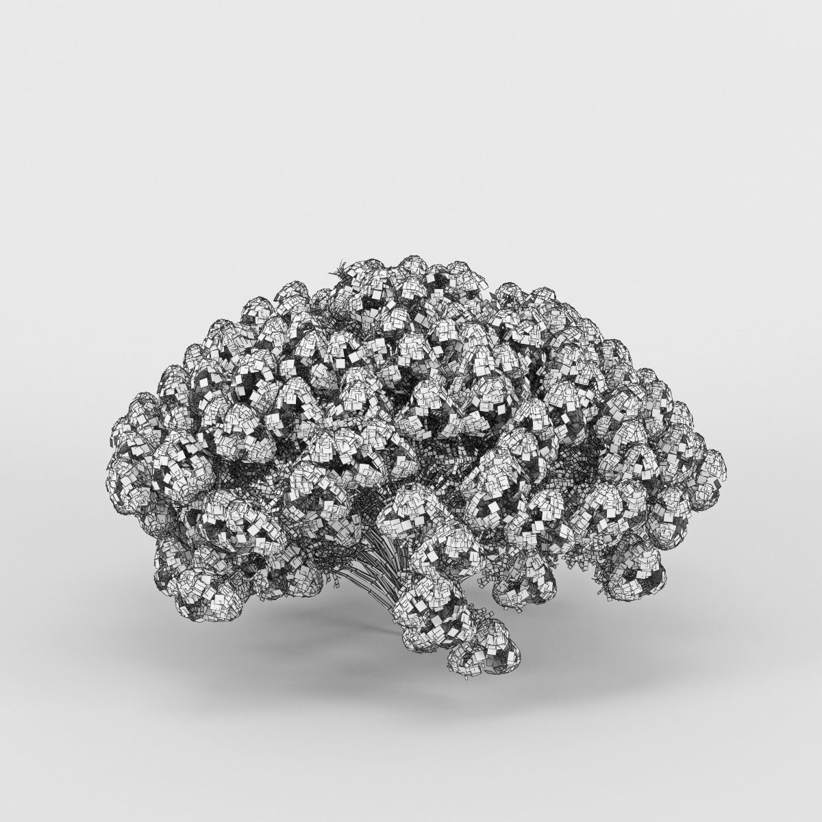 Azalea geranium 3D model_4