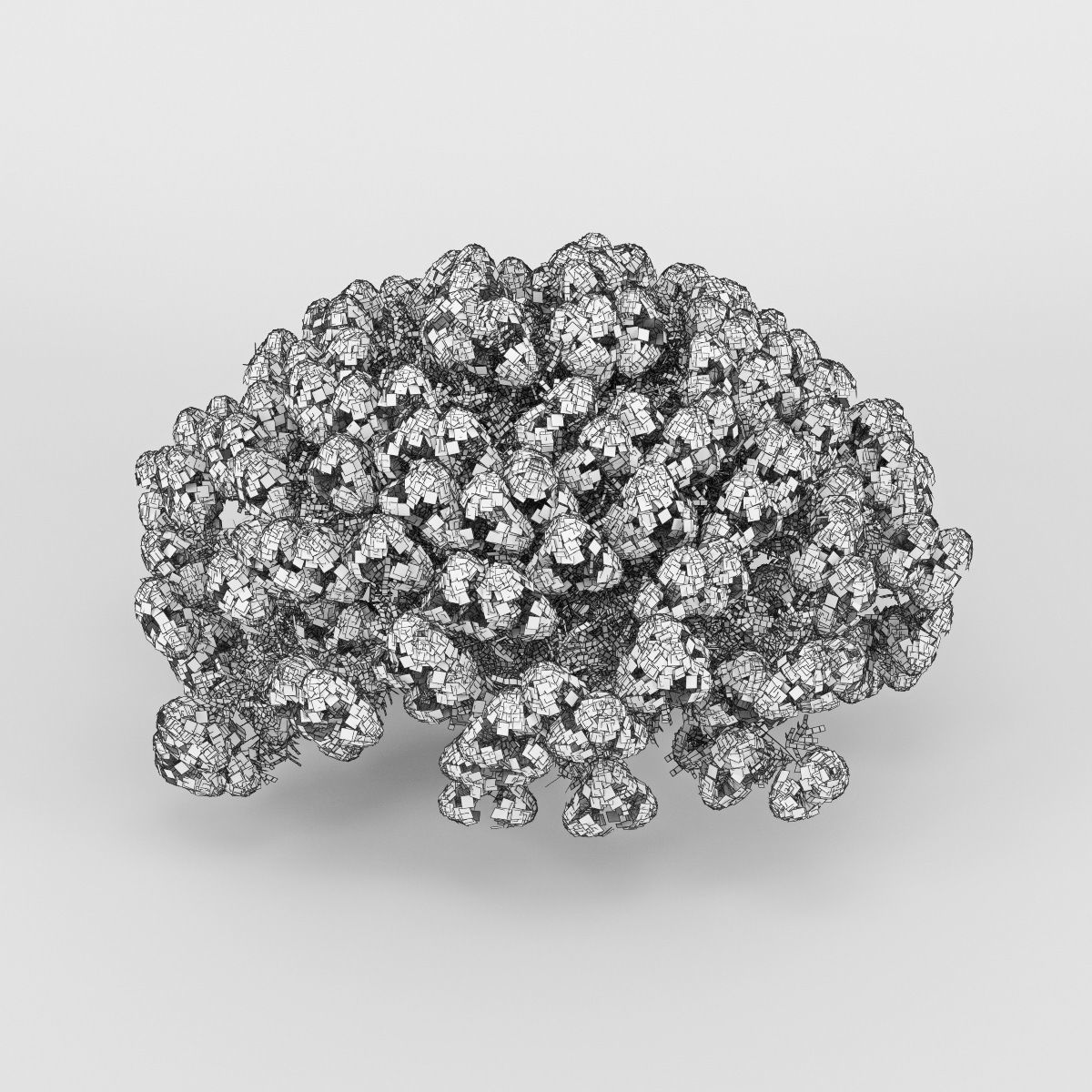 Azalea geranium 3D model_7