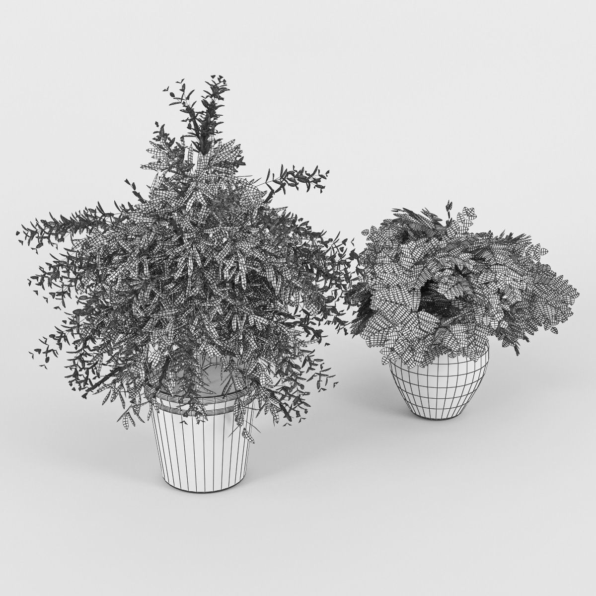 Flower Pot 3D model_6