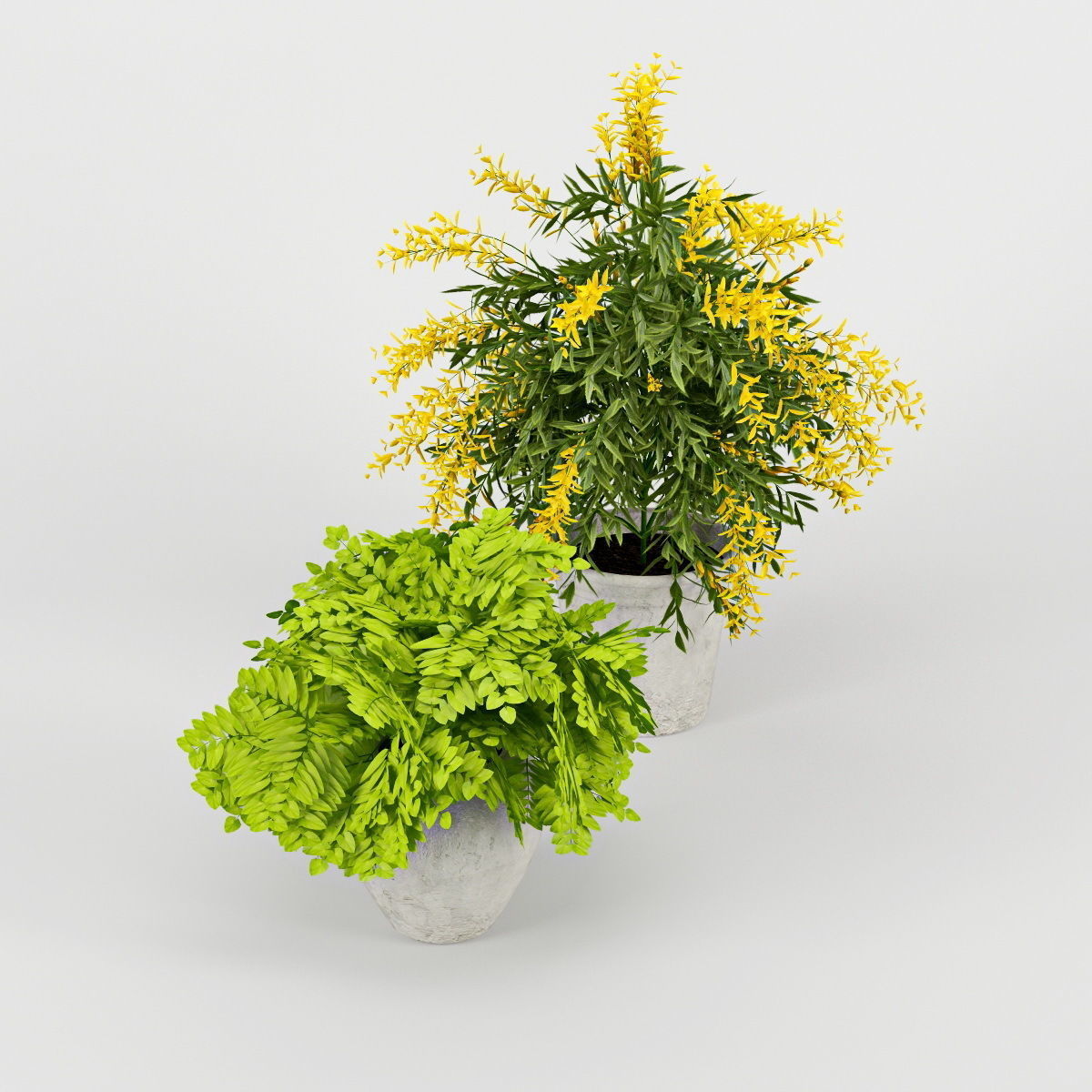 Flower Pot 3D model_1