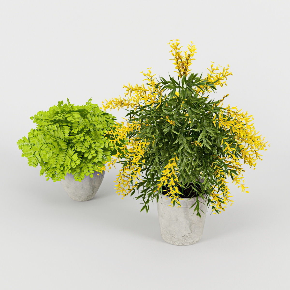 Flower Pot 3D model_4