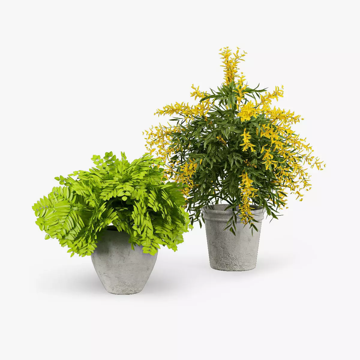 Flower Pot 3D model_0