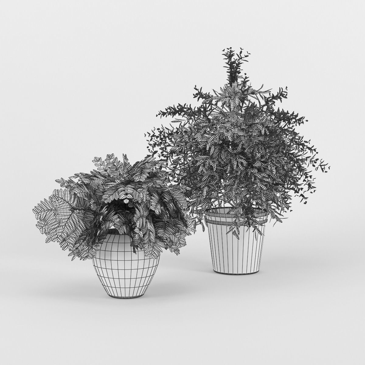 Flower Pot 3D model_5